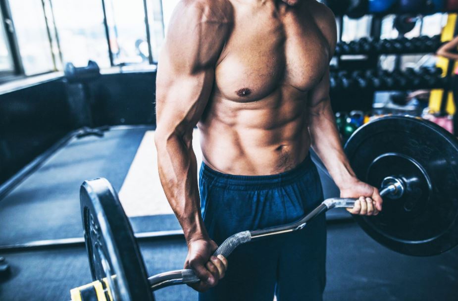 bodybuilding workout